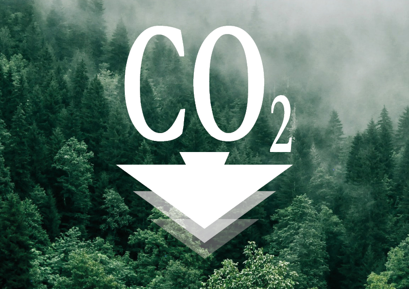 cawe-journal-rse-co2